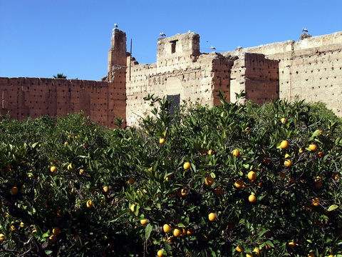 Palatul el-Badi